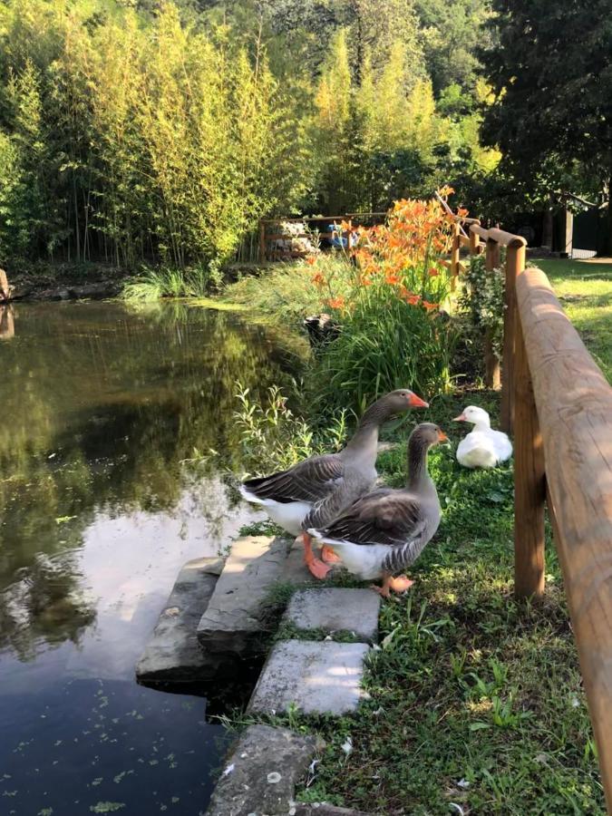 Esperia Casa Vacanza Terst Exteriér fotografie